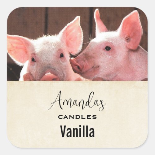 Cute Pink Piglets Animal Photograph Candle Craft Square Sticker
