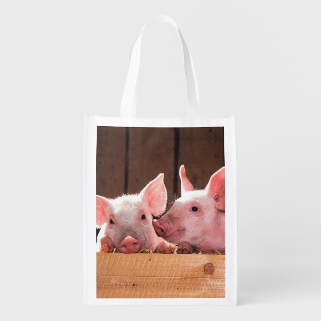 Cute Pink Piglets Animal Photograph Grocery Bag (Front)