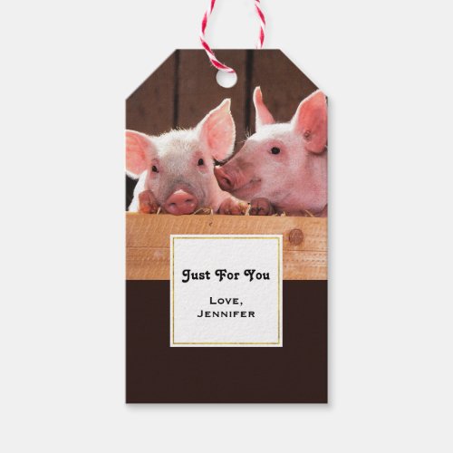 Cute Pink Piglets Animal Photograph Just for You Gift Tags