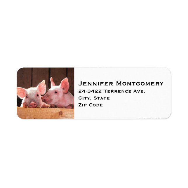 Cute Pink Piglets Animal Photograph Label (Front)