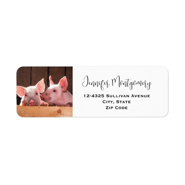 Cute Pink Piglets Animal Photograph Label (Front)