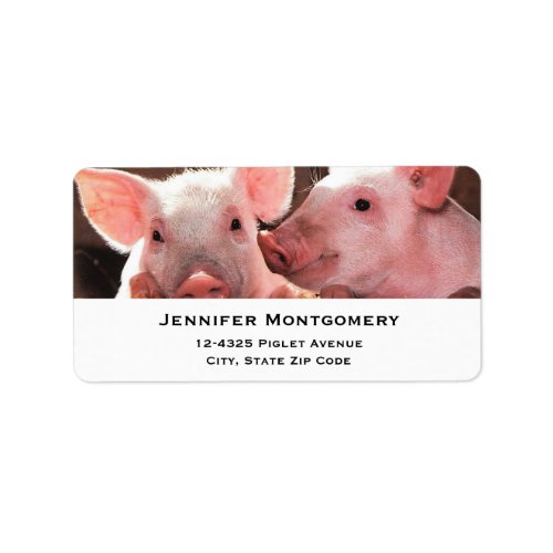 Cute Pink Piglets Animal Photograph Label