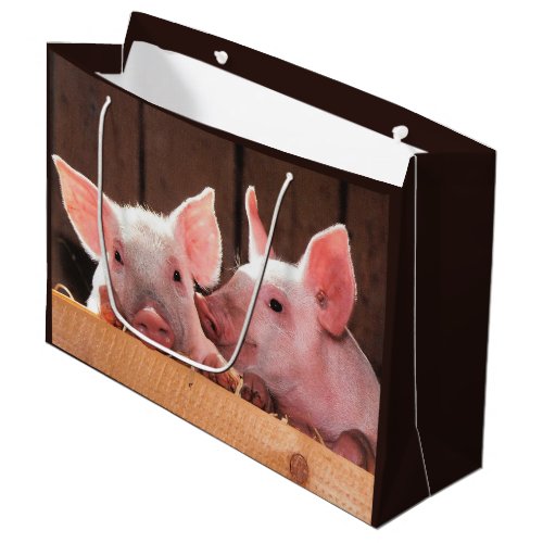 Cute Pink Piglets Animal Photograph Large Gift Bag