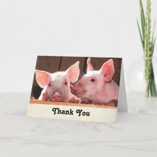 Cute Pink Piglets Animal Photograph Letterpress Thank You Card