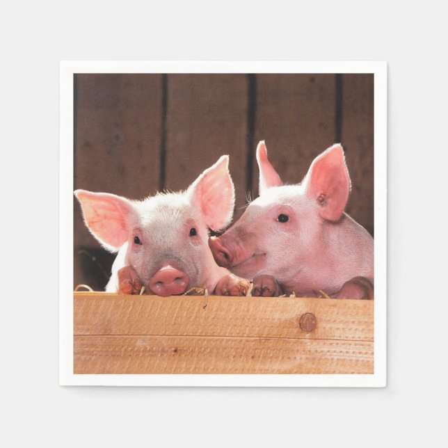 Cute Pink Piglets Animal Photograph Napkins (Front)