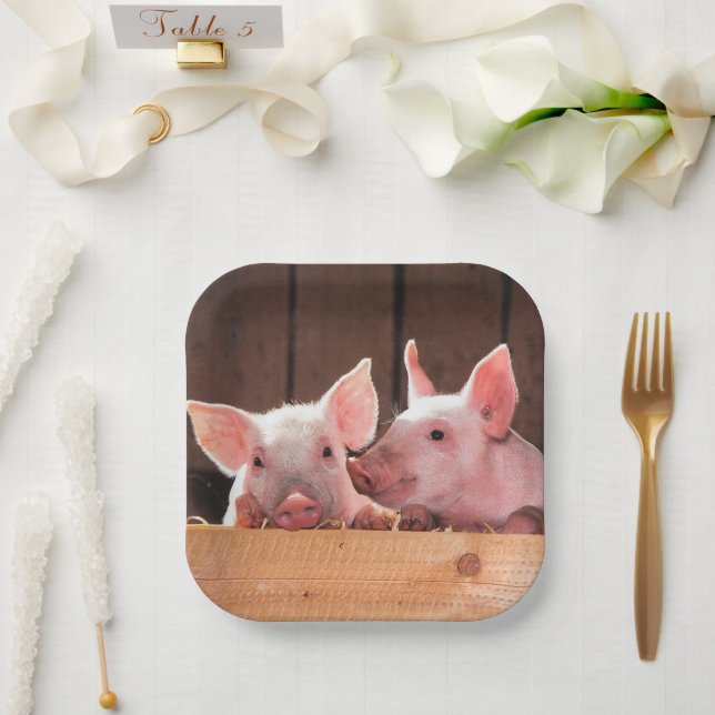 Cute Pink Piglets Animal Photograph Paper Plates (Wedding)