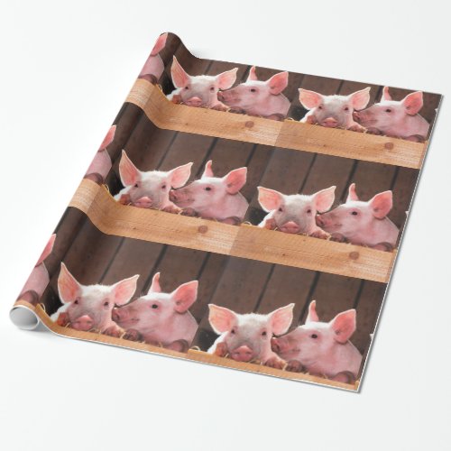  Cute Pink Piglets Animal Photograph Pattern Wrapping Paper