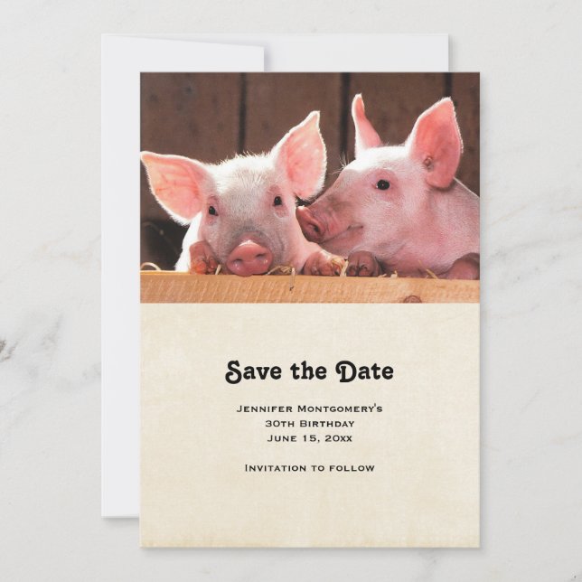  Cute Pink Piglets Animal Photograph Save The Date (Front)