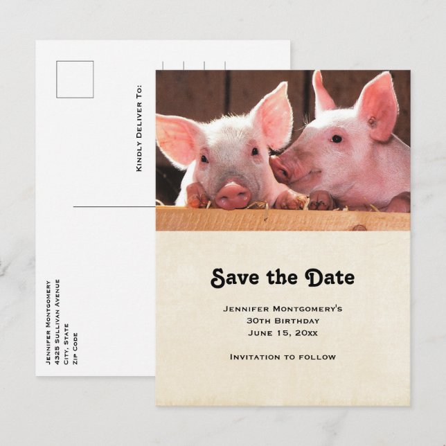 Cute Pink Piglets Animal Photograph Save the Date Invitation Postcard (Front/Back)