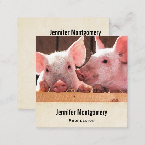 Cute Pink Piglets Animal Photograph Square Business Card