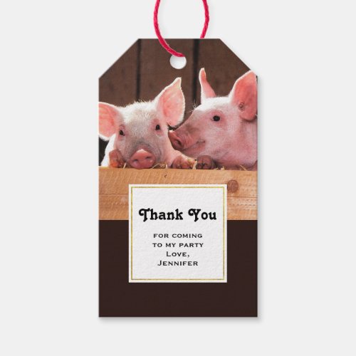 Cute Pink Piglets Animal Photograph Thank You Gift Tags