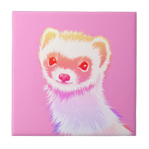 Cute Pink Rainbow Ferret - Girly Animal Illustrati