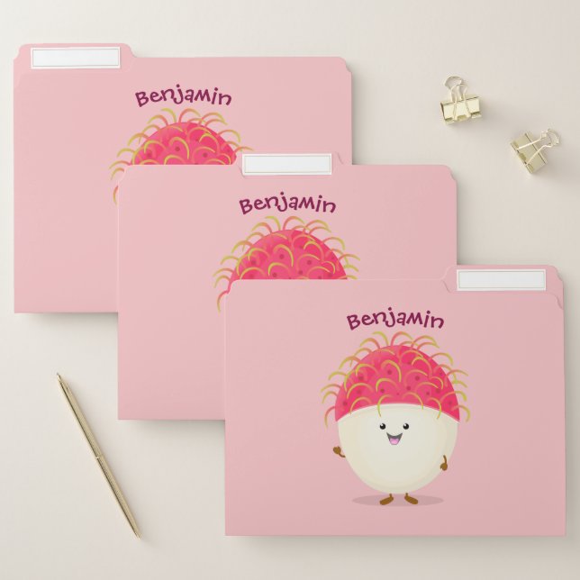 Cute pink rambutan cartoon illustration file folder (Set)
