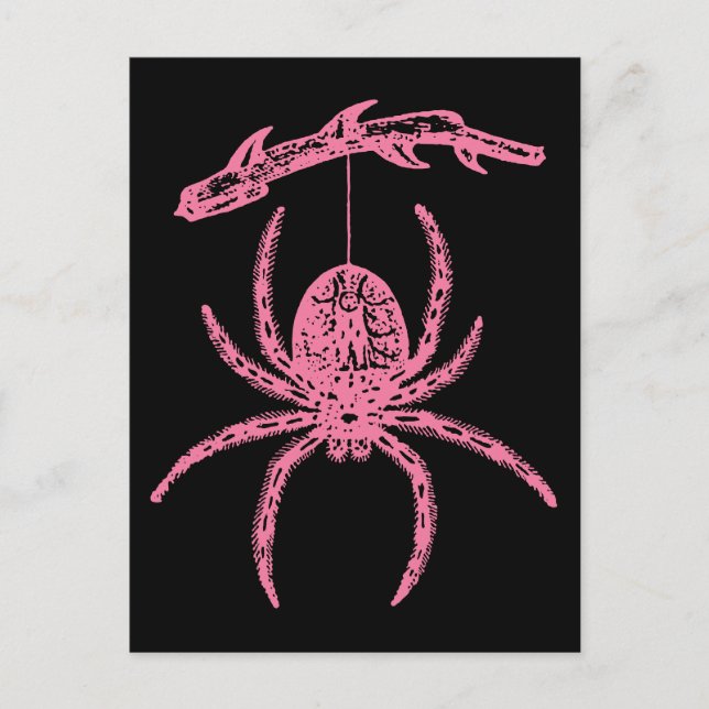 Cute Pink Spider Postcard (Front)