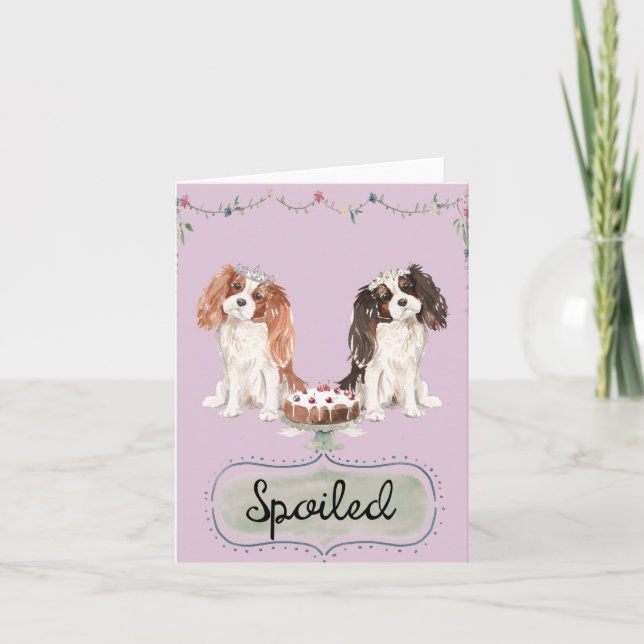 Cute Pink Spoiled Puppies Card (Front)