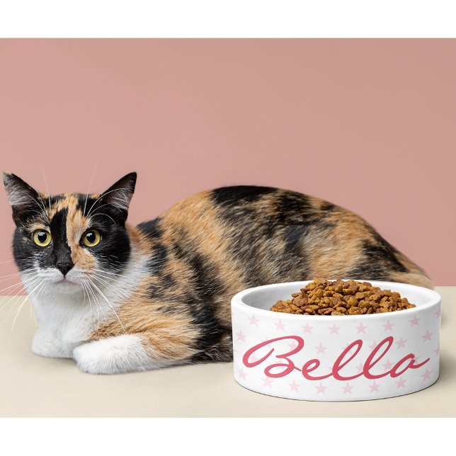 Cute Pink Stars Cat Kitty Kitten Puppy Name Food Bowl (Cute Pink Stars Cat Kitty Kitten Puppy Name Food Bowl)