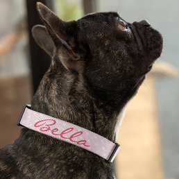Cute Pink Stars Dog Puppy Doggy Name Personalized Pet Collar