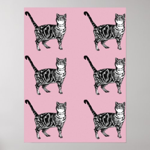 Cute Pink Striped Tabby Cat Cats Poster Art