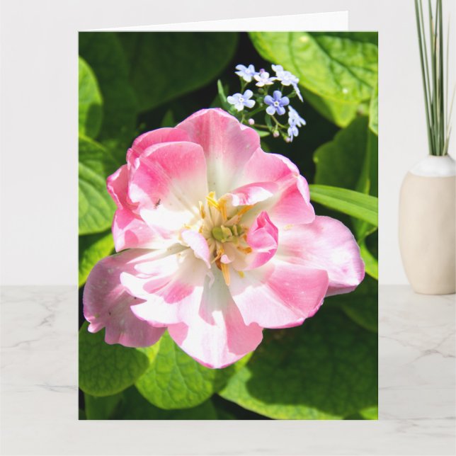 Cute pink tulip card (Front)