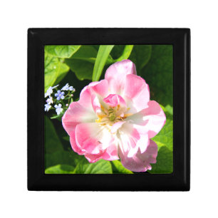 Cute pink tulip gift box