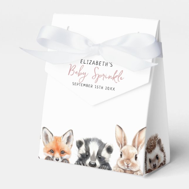 Cute Pink Woodland Animals Baby Shower Sprinkle Favor Boxes (Front Side)