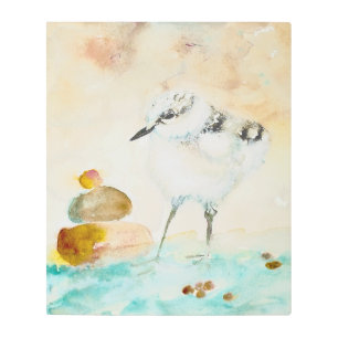 Cute Piping Plover Metal Wall Art