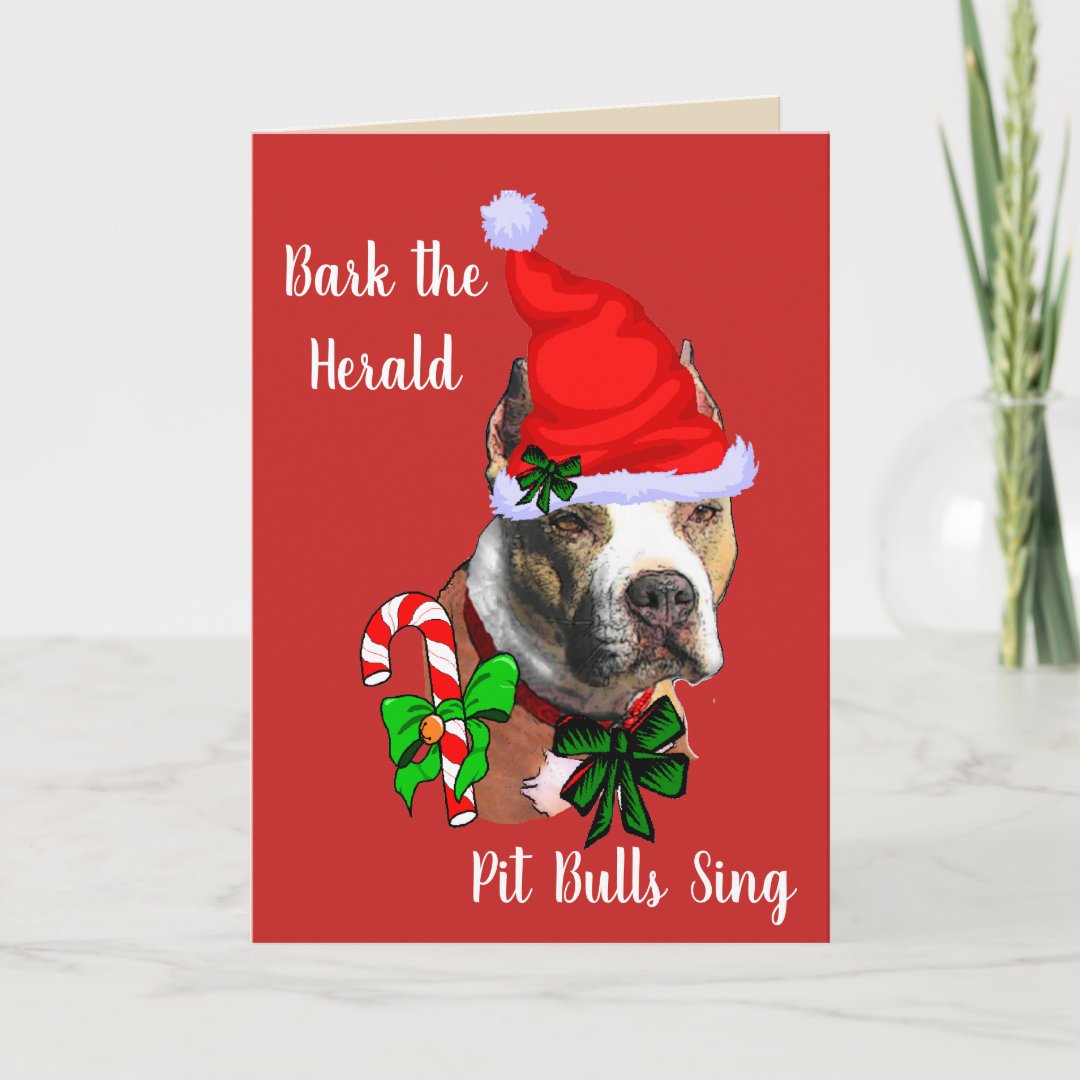 Cute Pit Bull Christmas Holiday Card | Zazzle