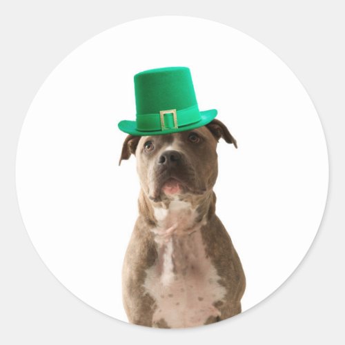 Cute Pit Bull Dog Hat St Patricks Day Classic Round Sticker