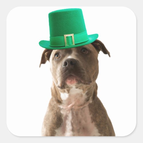 Cute Pit Bull Dog Hat St Patricks Day Square Sticker