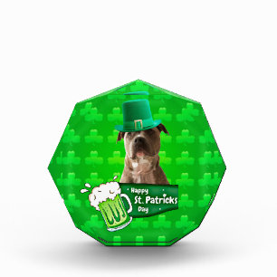 Cute Pit Bull Dog Hat St. Patrick's Day w Clovers Award