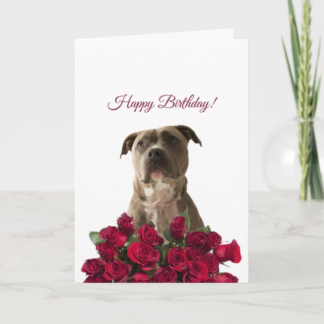 Cute Pit bull Dog Roses Happy Birthday Card (Front)