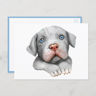 Cute Pit Bull Pittie Puppy Dog Love Hello Pitbull  Postcard