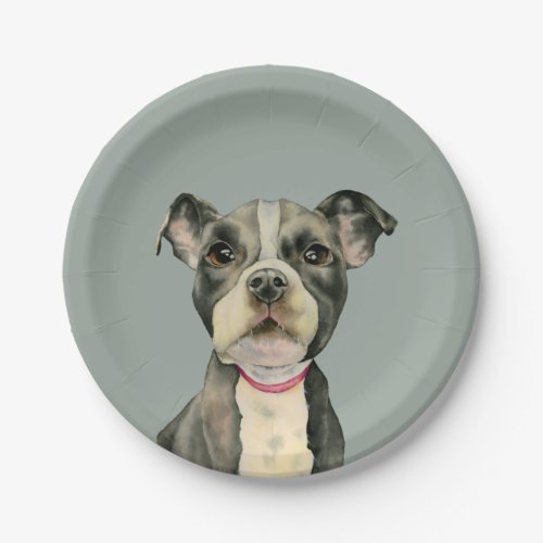 Cute Pit Bull Puppy Paper Plates