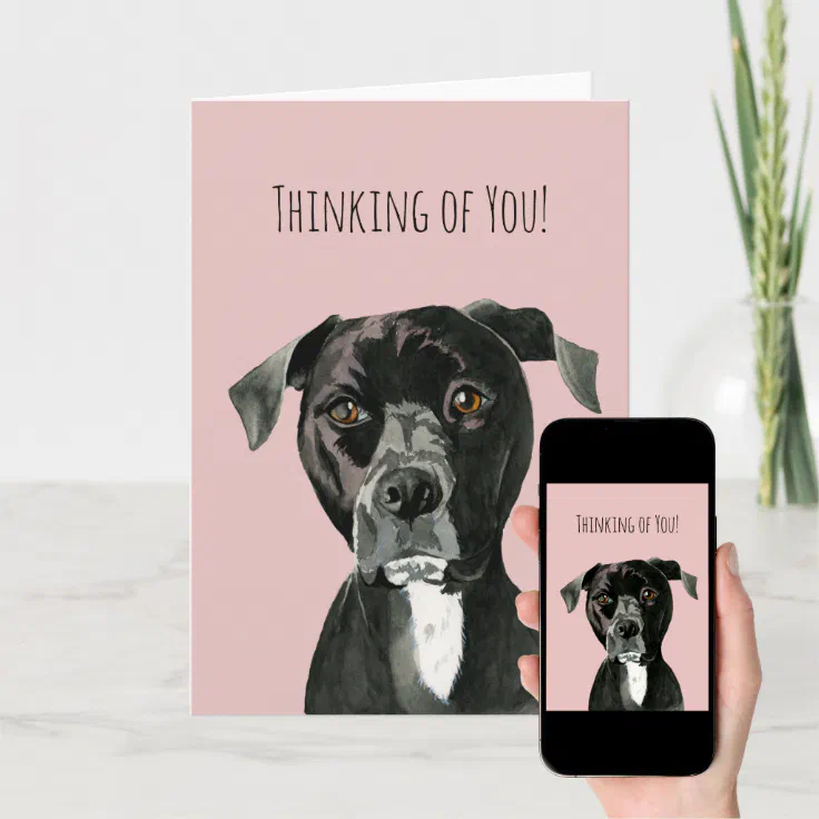 Cute Pit Bull Terrier Dog | Thinking of You Card | Zazzle