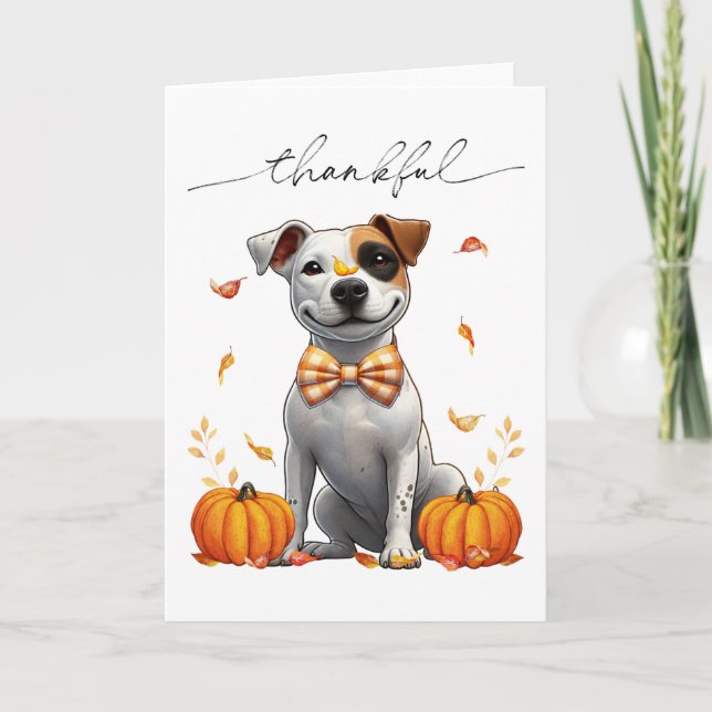 Cute Pit Bull Thankful Fall Pumpkins Card (Front)