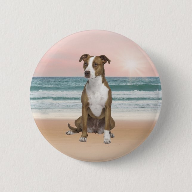 Cute Pitbull Dog Sitting on Beach with sunset Button (Front)