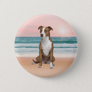 Cute Pitbull Dog Sitting on Beach with sunset Button