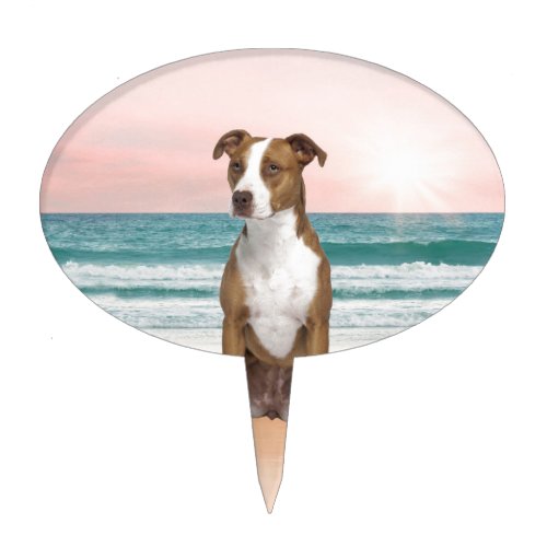 Cute Pitbull Dog Sitting on Beach with sunset Cake Topper