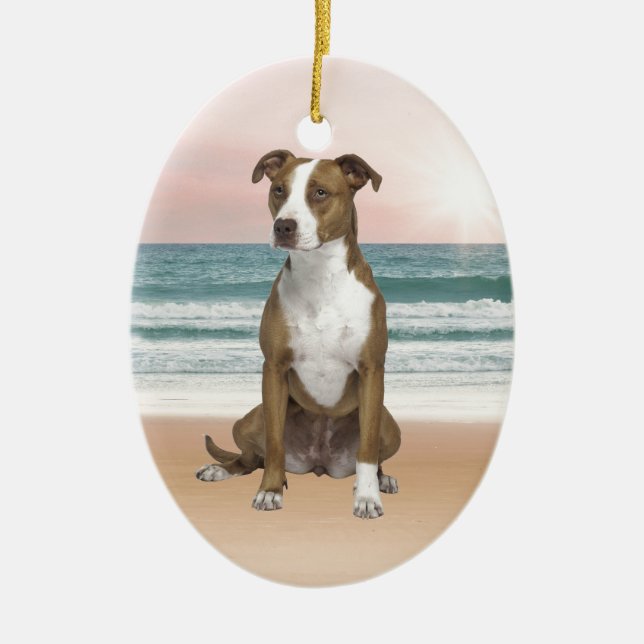 Cute Pitbull Dog Sitting on Beach with sunset Ceramic Ornament (Front)