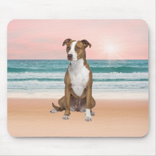 Cute Pitbull Dog Sitting on Beach with sunset Mouse Pad