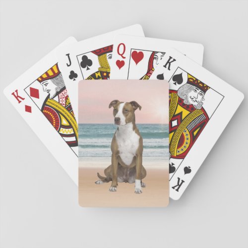 Cute Pitbull Dog Sitting on Beach with sunset Playing Cards