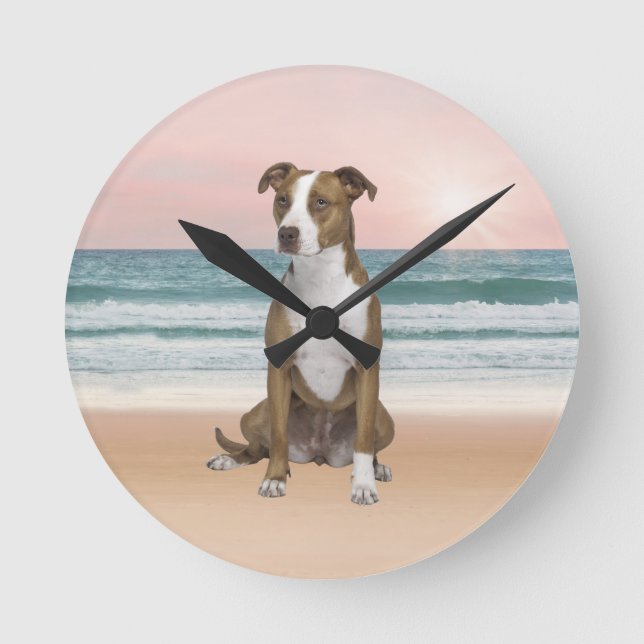 Cute Pitbull Dog Sitting on Beach with sunset Round Clock (Front)