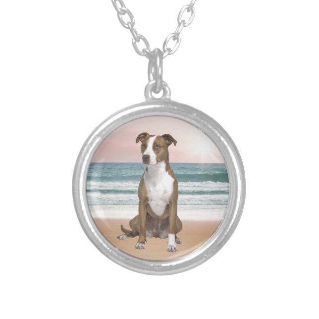Cute Pitbull Dog Sitting on Beach with sunset Silver Plated Necklace (Front)
