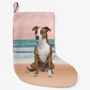 Cute Pitbull Dog Sitting on Beach with sunset Small Christmas Stocking