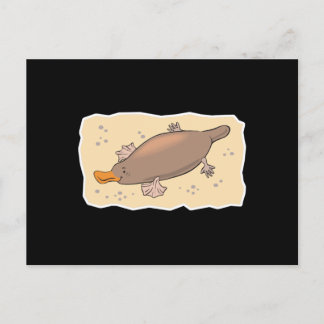 cute platypus in the sand postcard