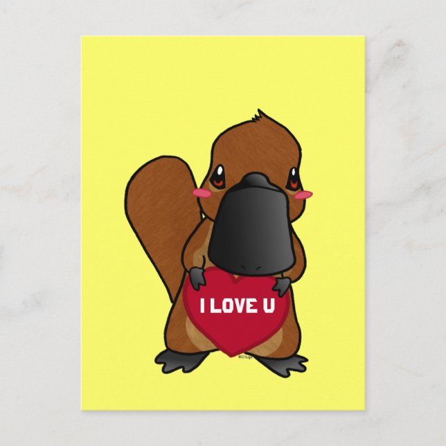 Cute Platypus Postcard (Front)