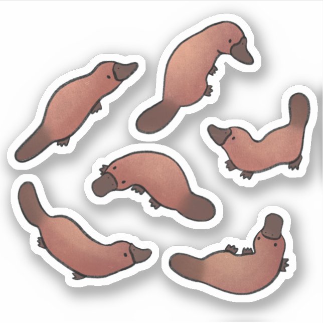 Cute Platypus  Sticker (Front)