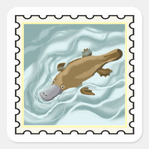 Cute Platypus swimming Australian stamp art Square Sticker