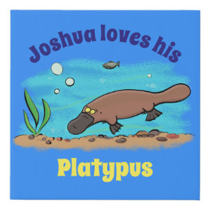 Cute platypus swimming cartoon faux canvas print