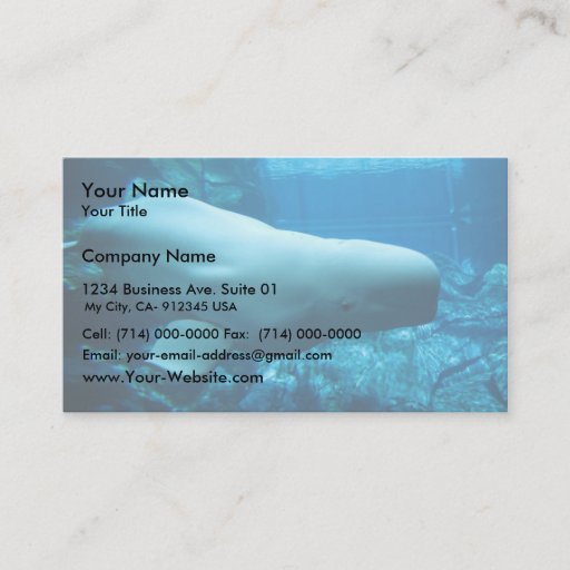 Customizable Cute Playful Beluga Whale In Aquarium At Georgia Business Card